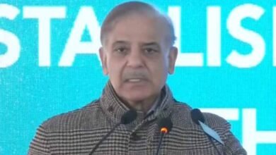 جنگ میں پاک فوج نے بھارت کو زناٹے دار تھپڑ رسید کیا جس پر امریکی کانگریس نے بھی مہرلگائی: وزیراعظم