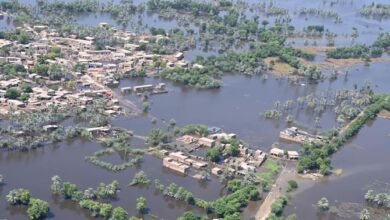 پاکستانی کسانوں کا آلودگی پھیلانے پر جرمن کمپنیوں کیخلاف مقدمہ دائر کرنےکا اعلان