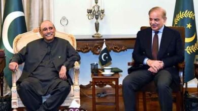 صدر کے بعد وزیر اعظم کو بھی فوجداری مقدمات سے استثنیٰ کی ترمیم پیش کر دی گئی