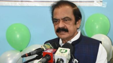 حکومت چاہتی ہے مہنگائی کم کی جائے لیکن آئی ایم ایف نے اجازت نہیں دی: رانا ثنا