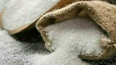 پنجاب کی تمام شوگر ملوں نے کرشنگ شروع کردی، چینی کی قیمت میں کمی کا امکان