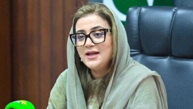 وزیر اطلاعات پنجاب کا غیرقانونی مقیم افغانیوں کی اطلاع دینے والوں کو نقد انعام دینے کا اعلان